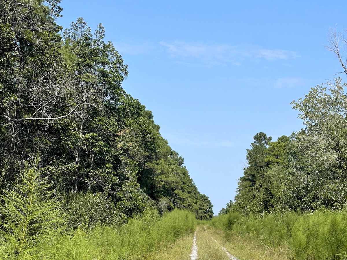 Elmur Road photo 3