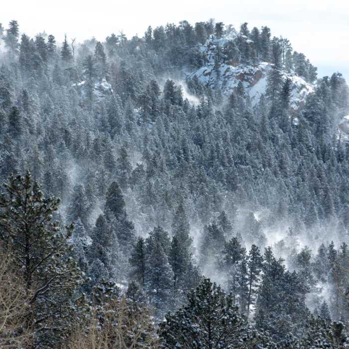 Near Staunton Rocks Overlook