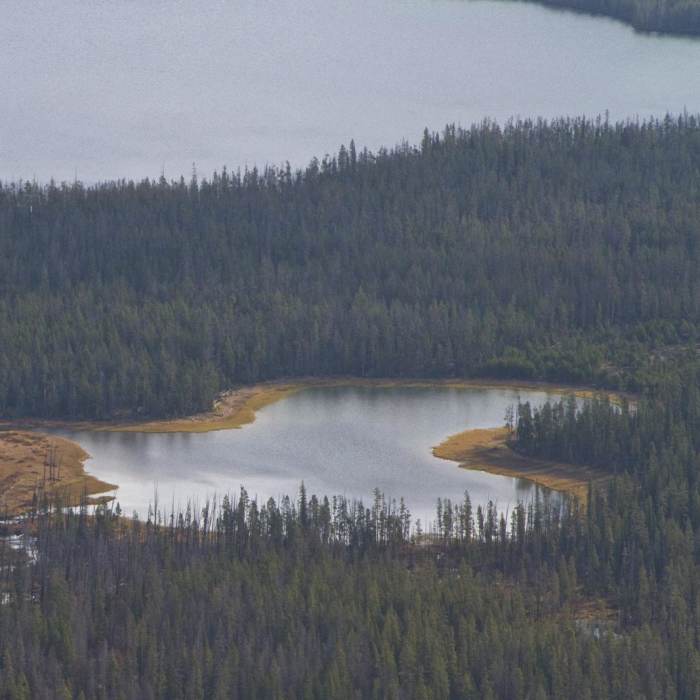 Near Yellow Belly Lake