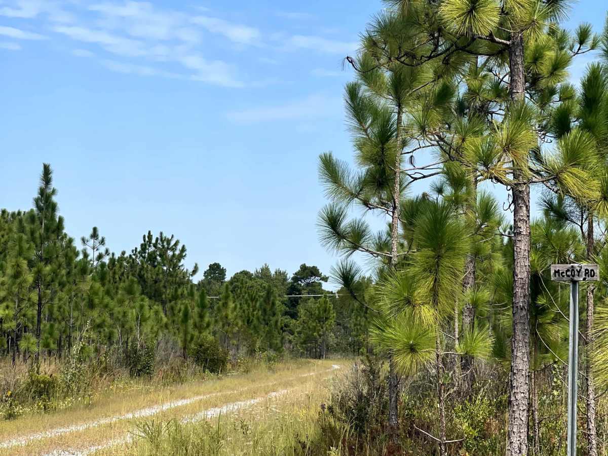 McCoy Road trail photo