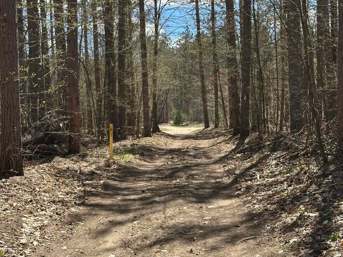 Fowler Lake Cutover photo 2