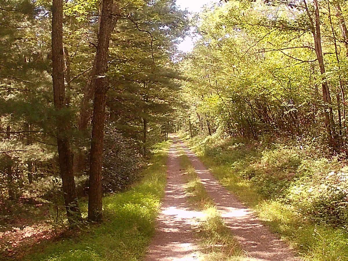 Rupp Hollow Road photo 6