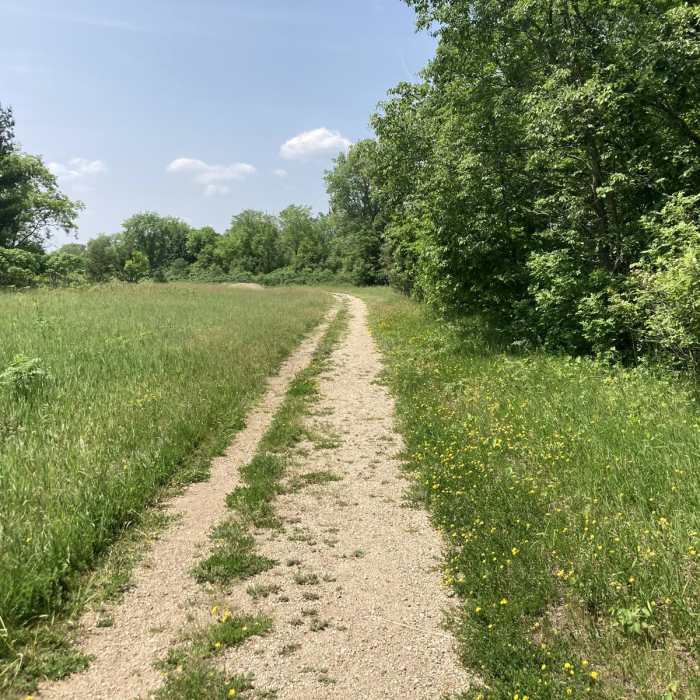 Near Pioneer Trail Near Pioneer Trail