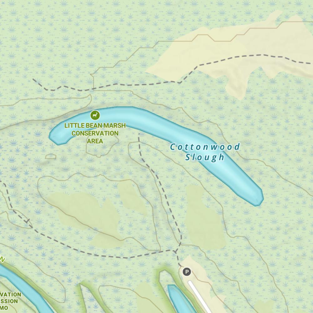 Cottonwood Slough photo