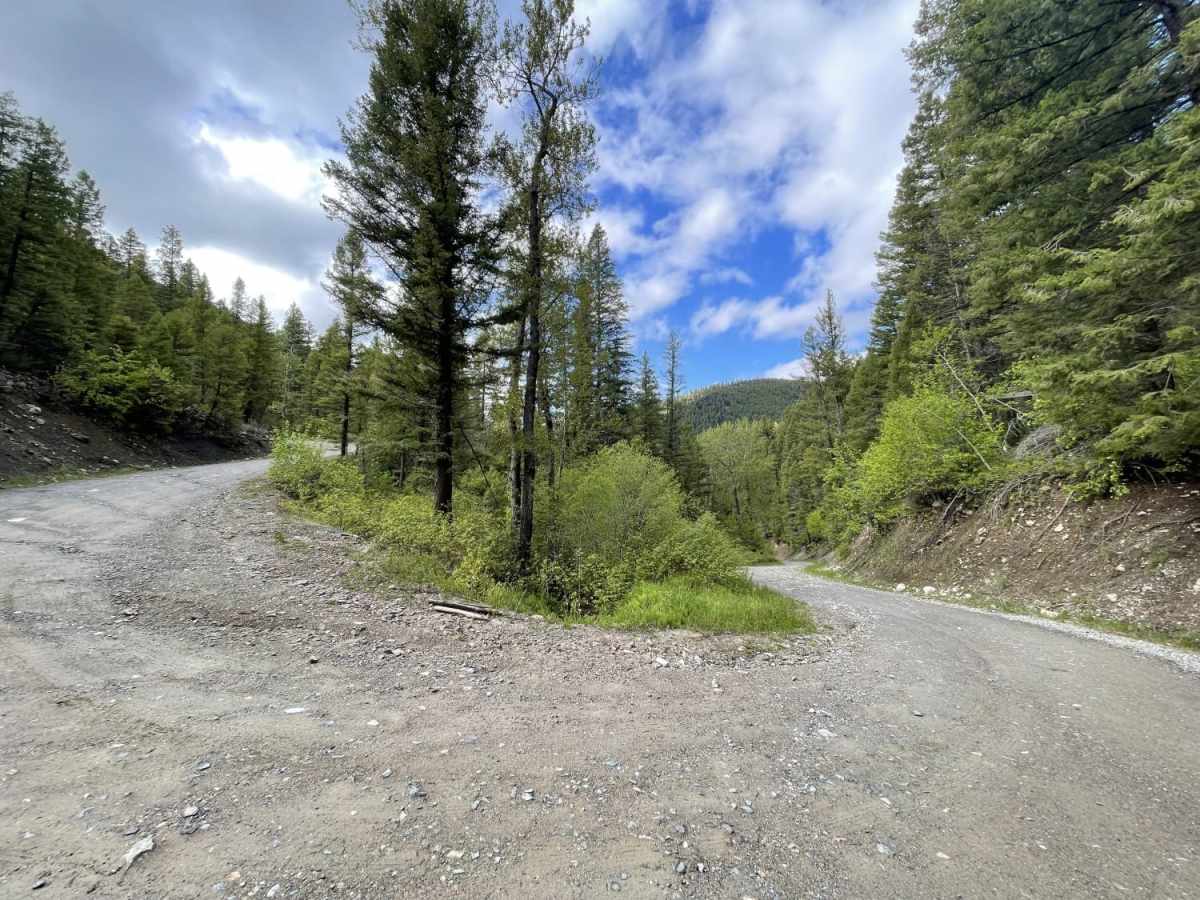 First Chance Gulch To Bear Gulch photo 5