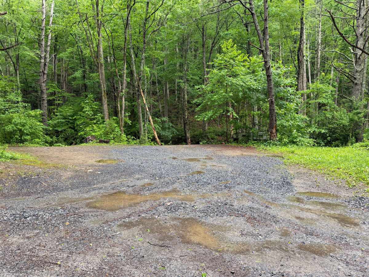 Comers Creek Road - FS 650 photo 6
