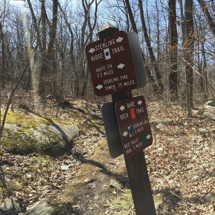 Blue Trail-Orange Trail intersection. Near Sterling Forest Fire Tower Loop