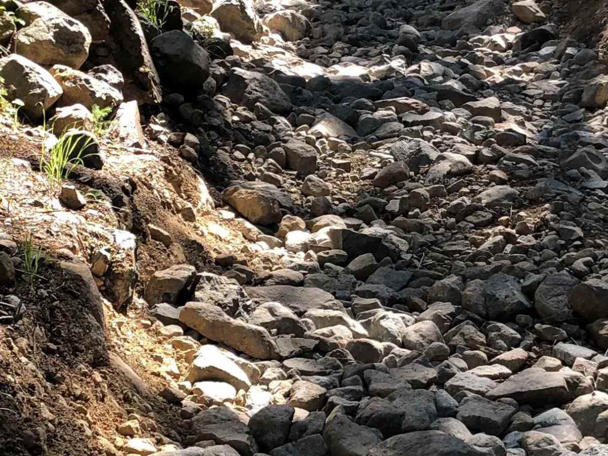 Upper Fortune Creek photo 6
