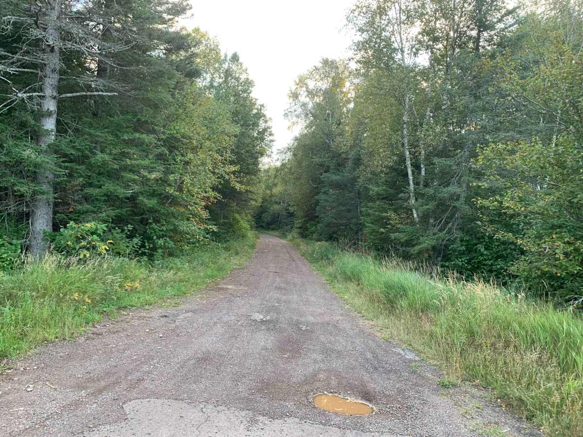 Cloquet Lake Road - FS 102 trail photo