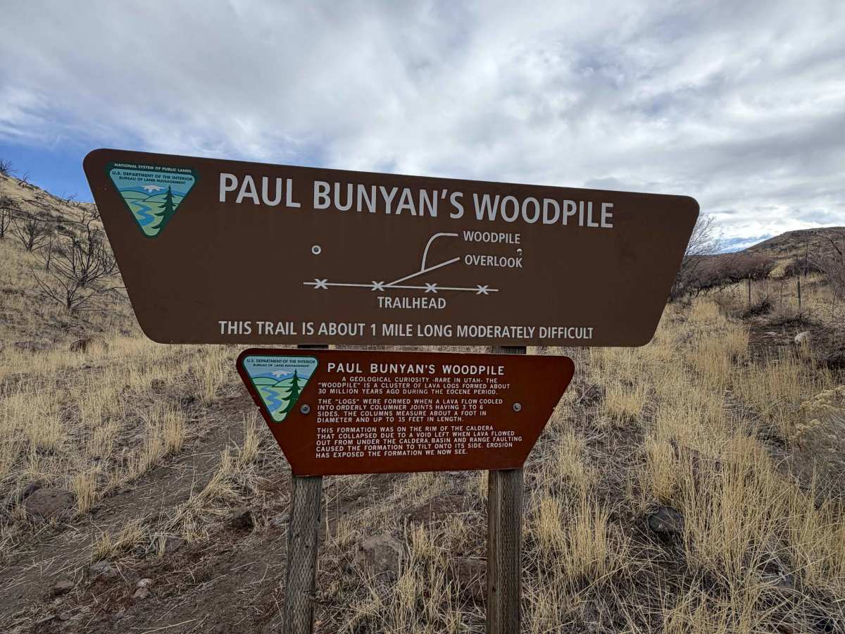 Paul Bunyan’s Woodpile photo 4
