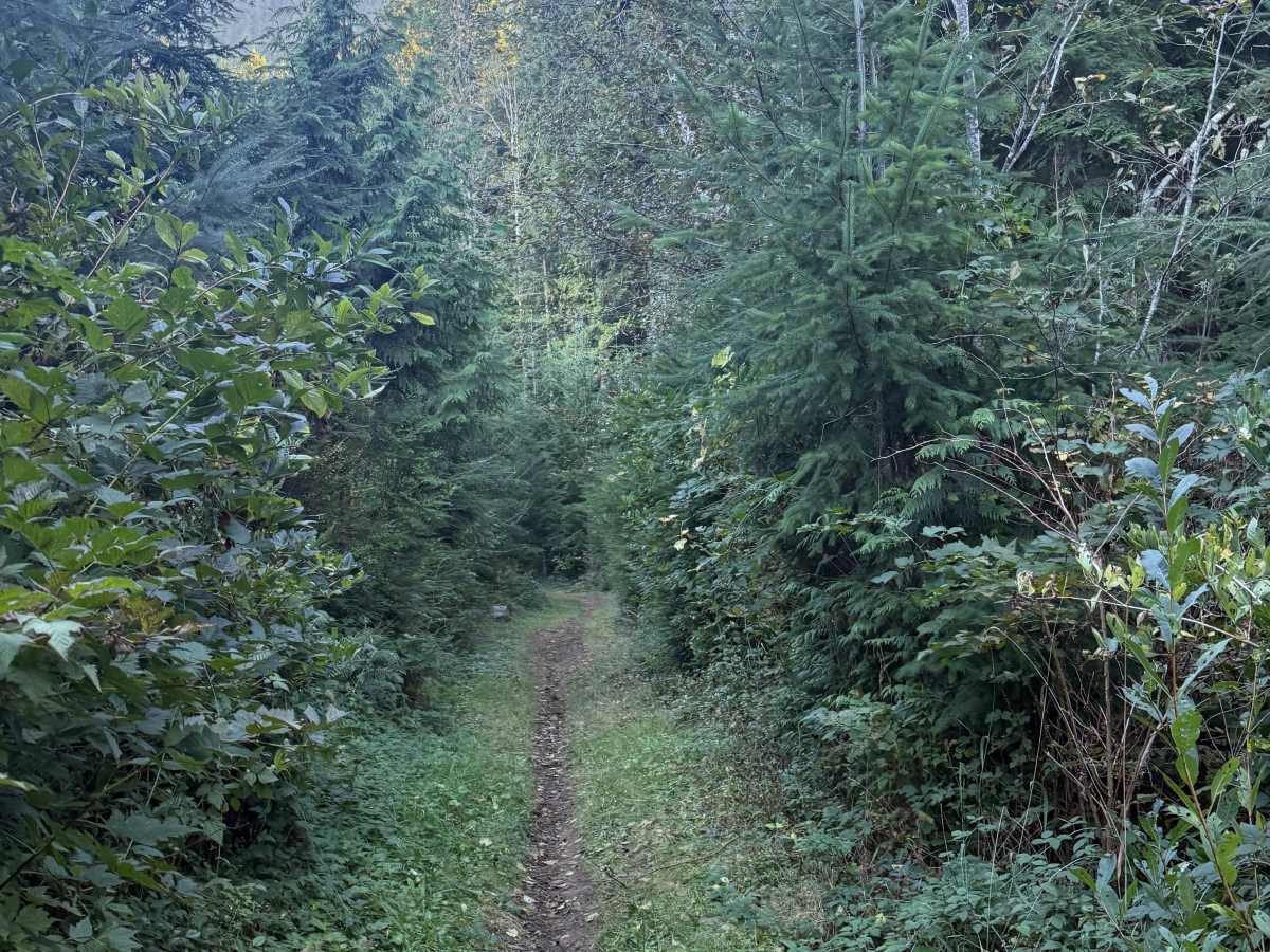 Upper Swanson photo 5
