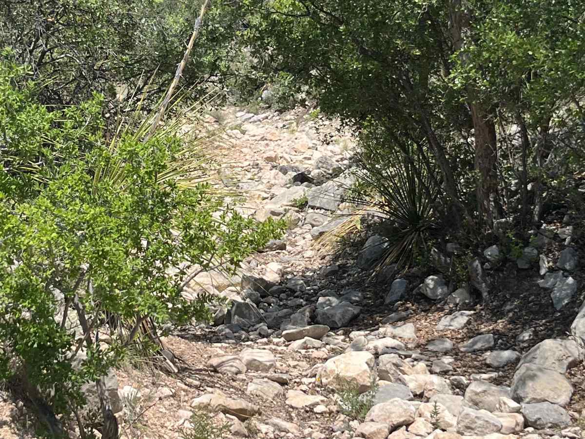 Artie's Revenge - V11 photo 2