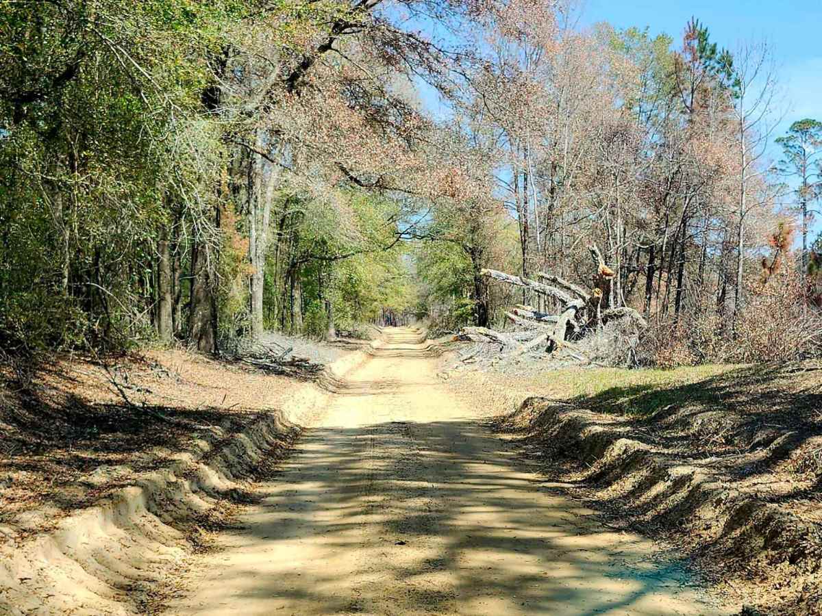 Tatum Road Trail photo 4
