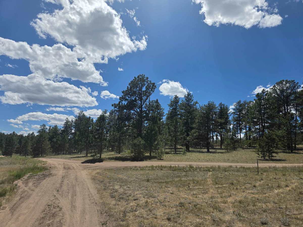 Nice Camp Road - FS 244A photo 5