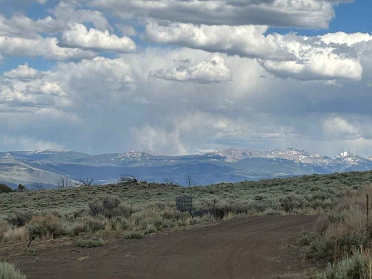 BLM 8465 trail photo