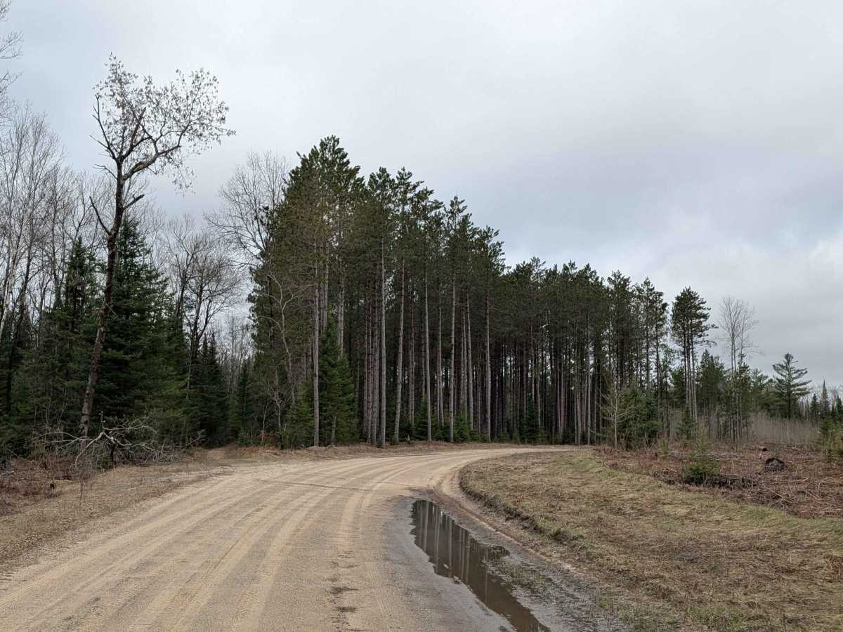 Manistee River Road Southeast photo 3