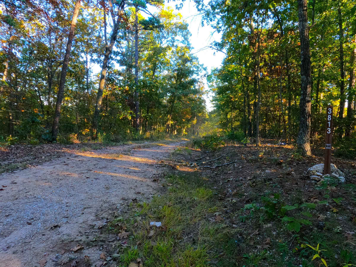 New Prospect - FS 3813 trail photo