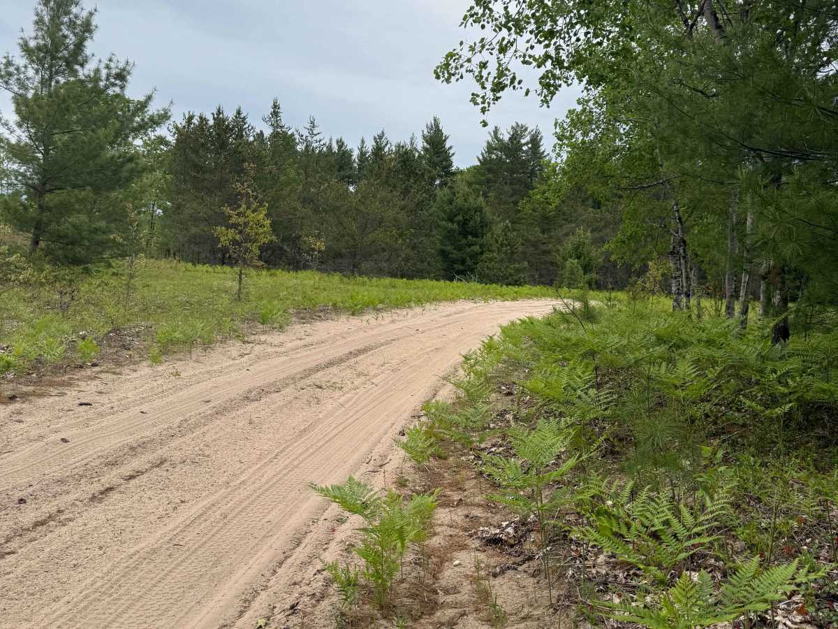Crofton Road Trail photo 4