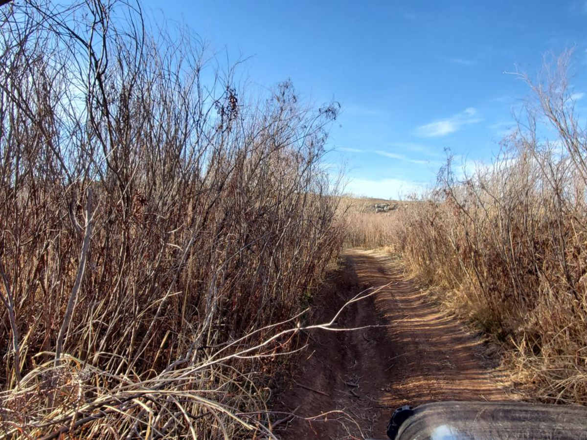 Hidden Campsite Trail photo 4