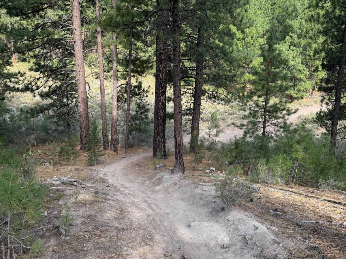 #30 trail photo