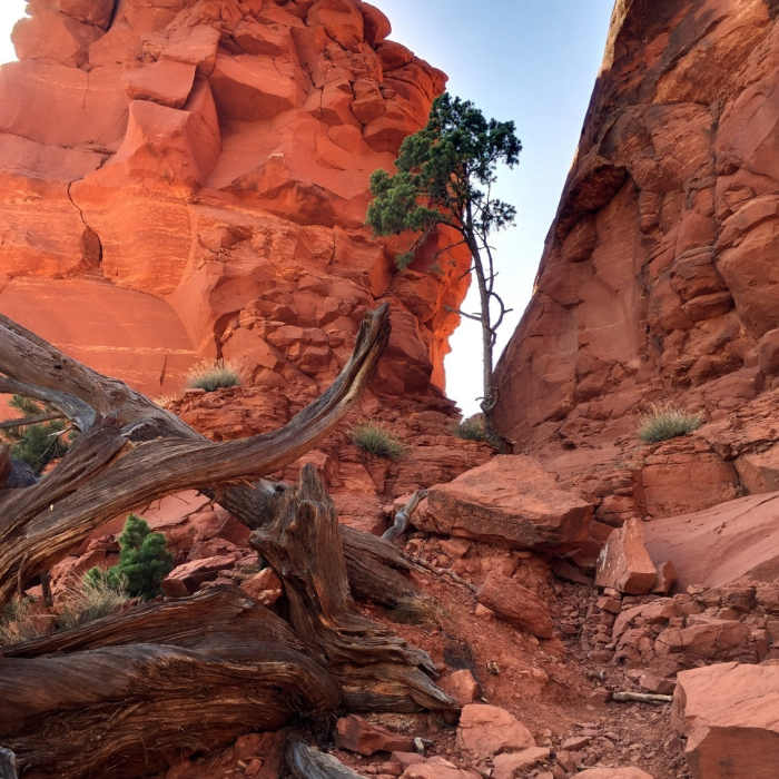 Near Bell Rock Trail