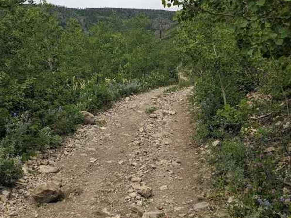 Heart Peak Trail 106 photo 3