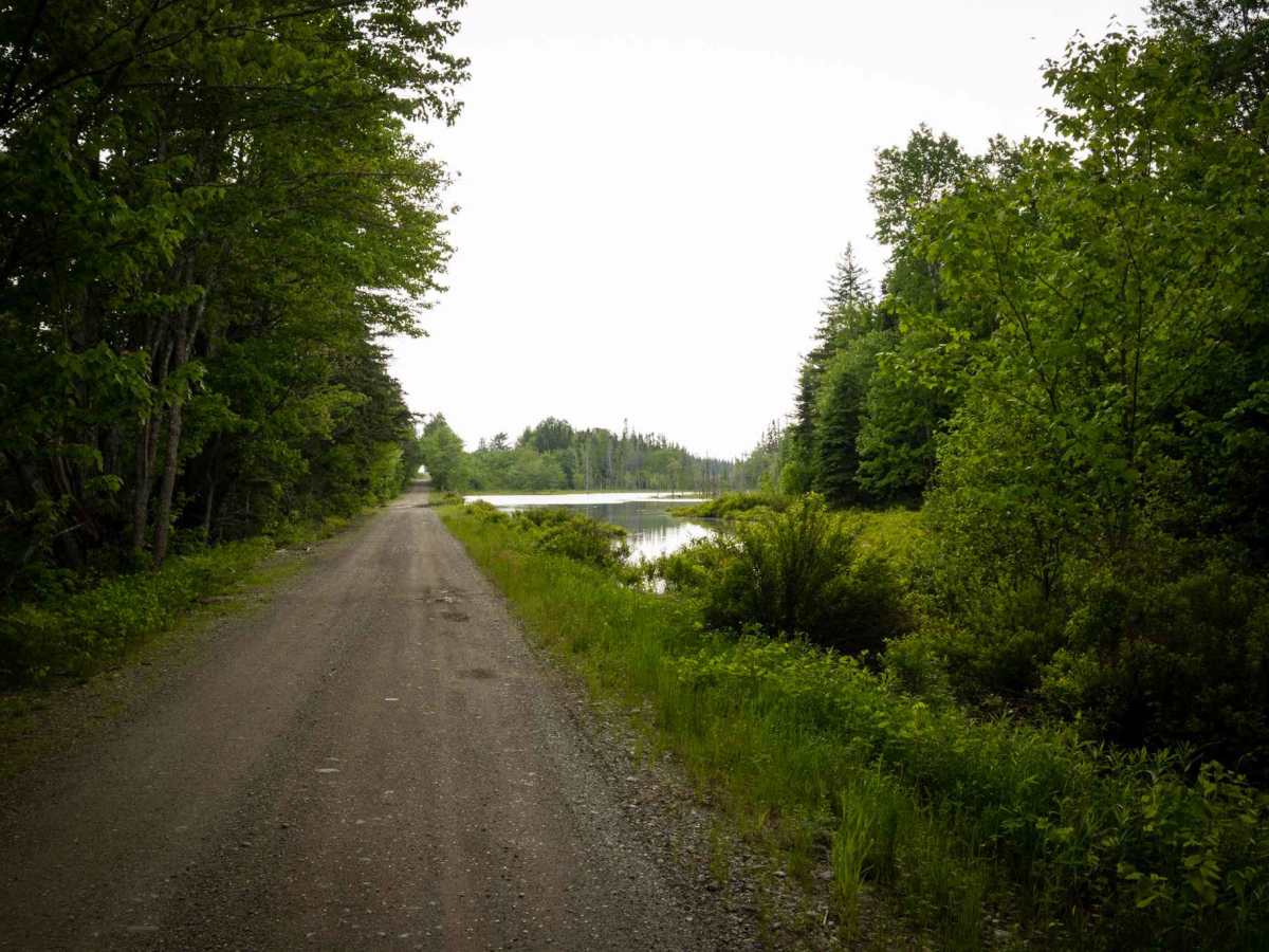Nepisiguit (Grand) Falls River Trail photo 3