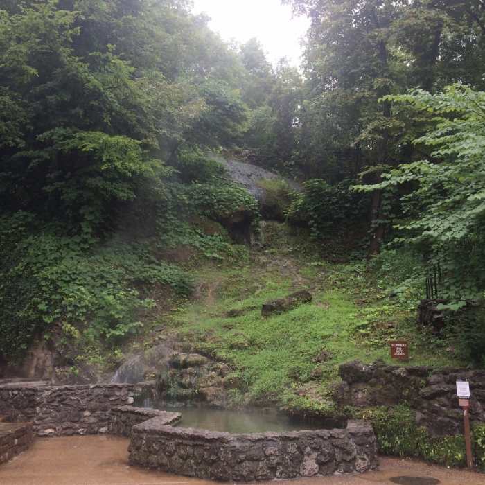 Near Oak Trail