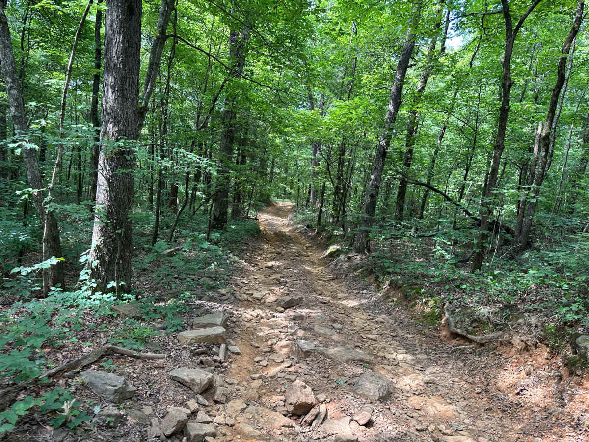 Folsom Hill trail photo