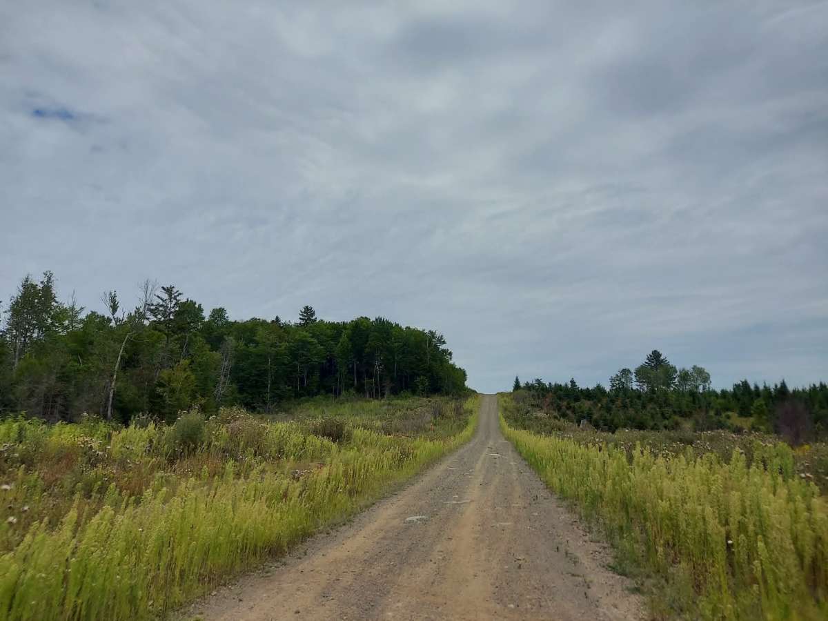Link Trail photo 2