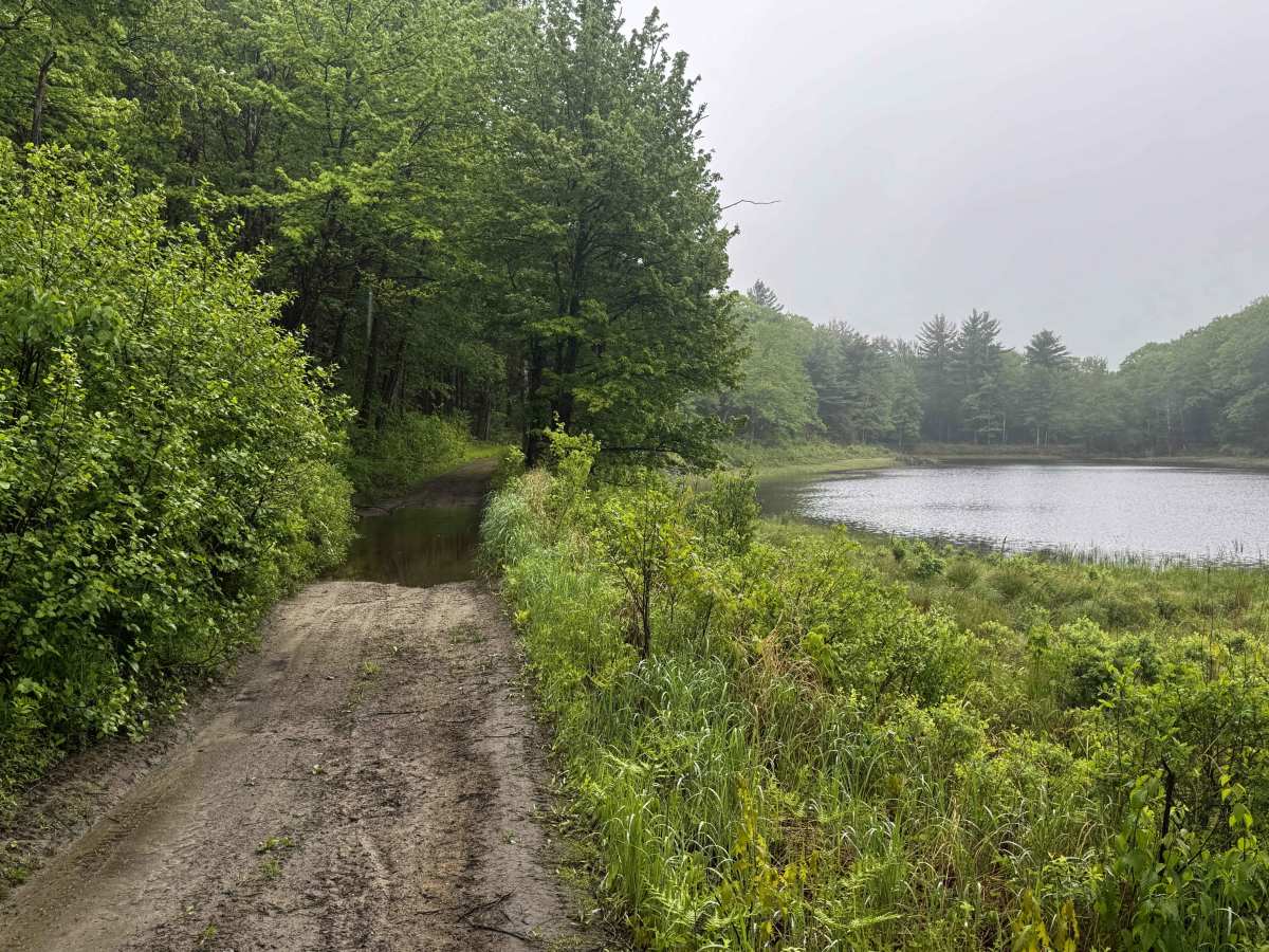Amos Case Road - North Section trail photo