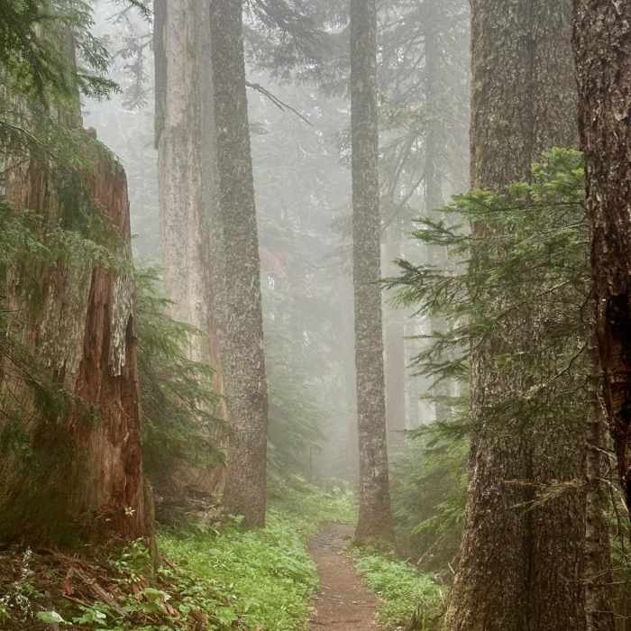 Near Pacific Coast Trail: Mount Hood Wilderness