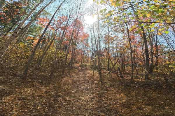 Old Hatchery Winter Trail End