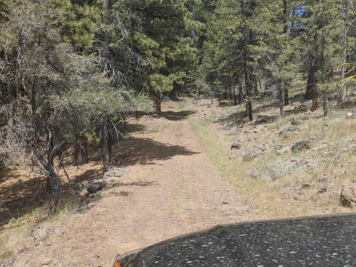 Paulina Valley Rd / 4200 / 4250 / 1200 photo 4