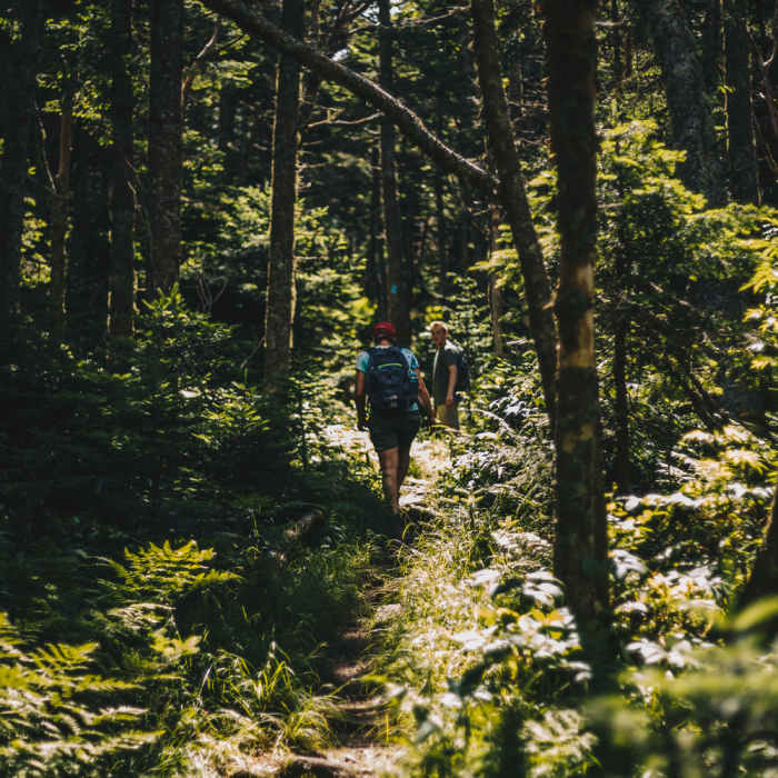 Stretch of the Bucklin Trail near the base of Killington. Near Bucklin Trail