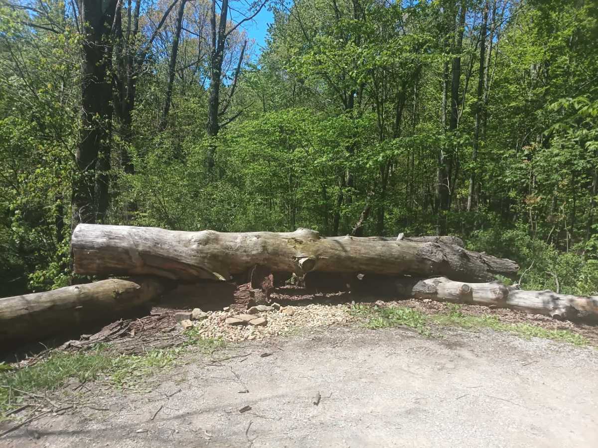 Township Highway NR2 trail photo