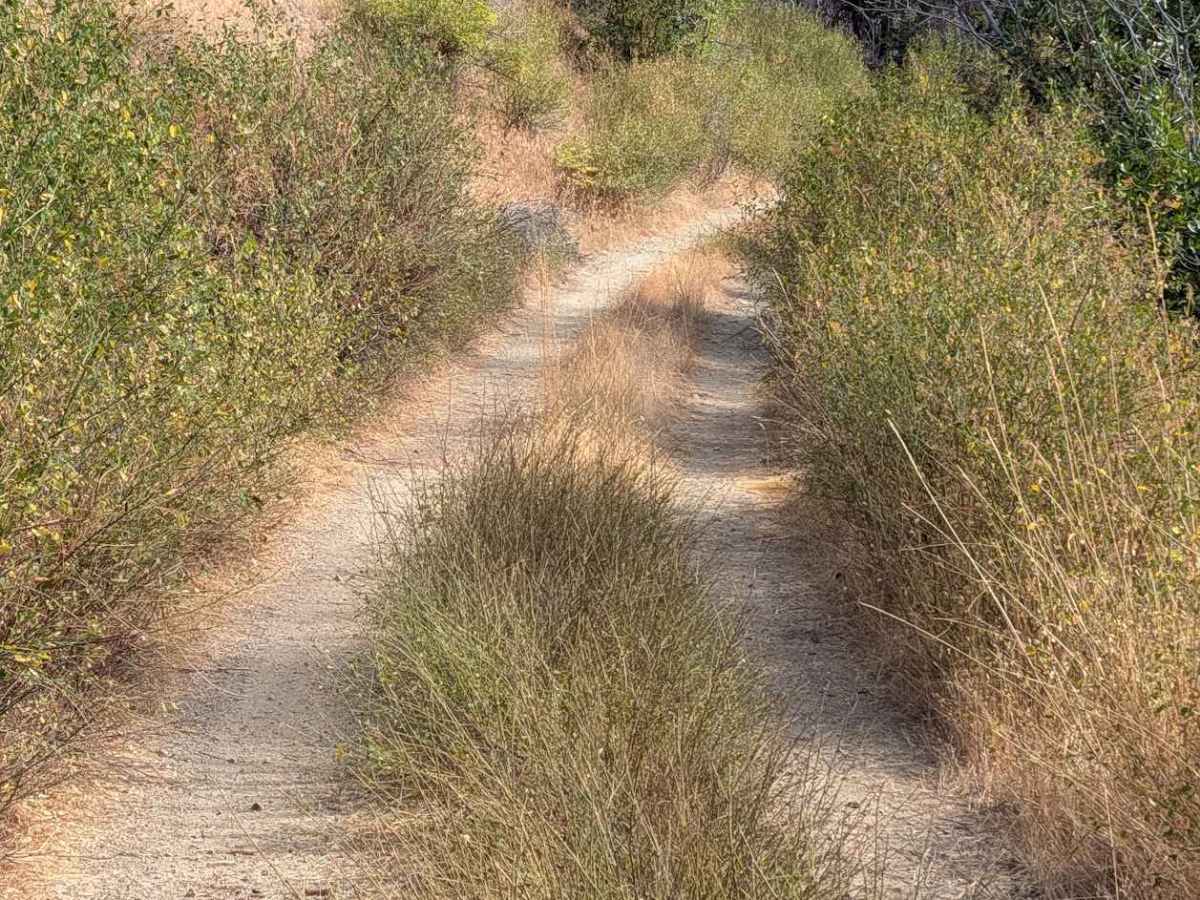 Little Creek Road - FS 32N16  photo 5