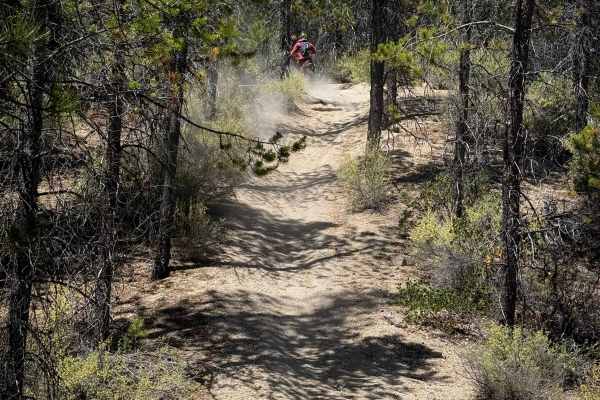 Trail 14  