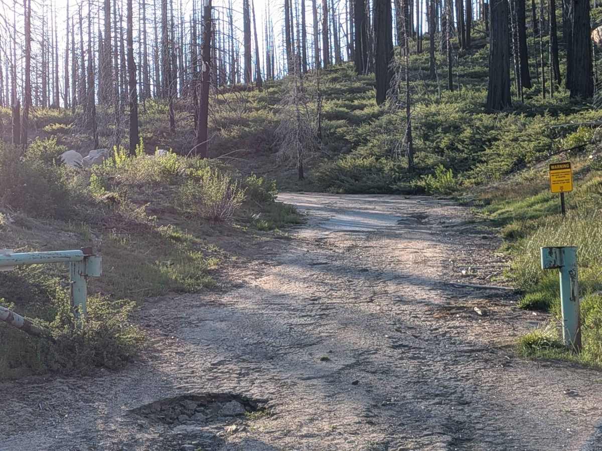 Parker Forks - FS 22S18 photo 3