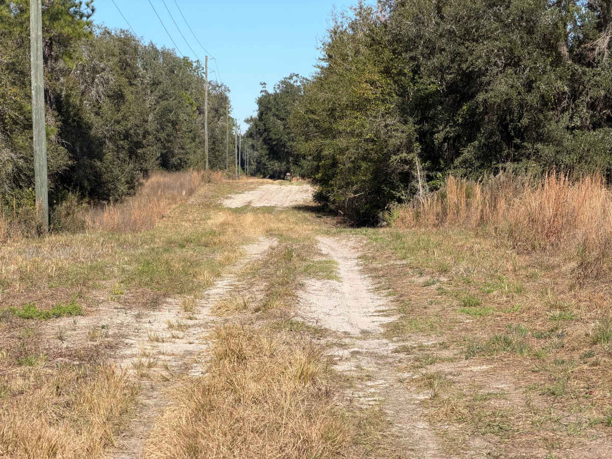 Ranch Road photo 6