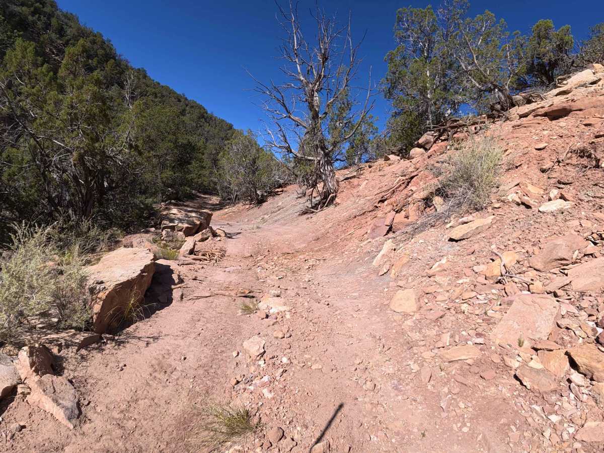 BLM 777 photo 2