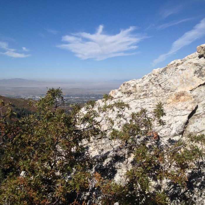 Near Elephant Rock Out and Back