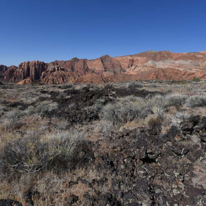 Near Lava Flow Trail