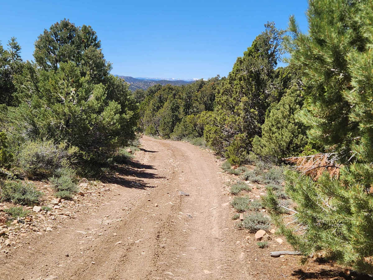 Pine Nut Valley Road - BLM P-14 photo 4
