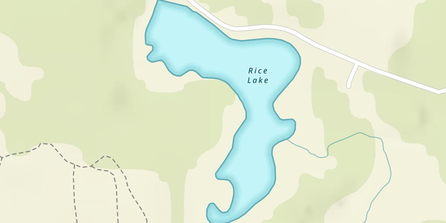 Rice Lake