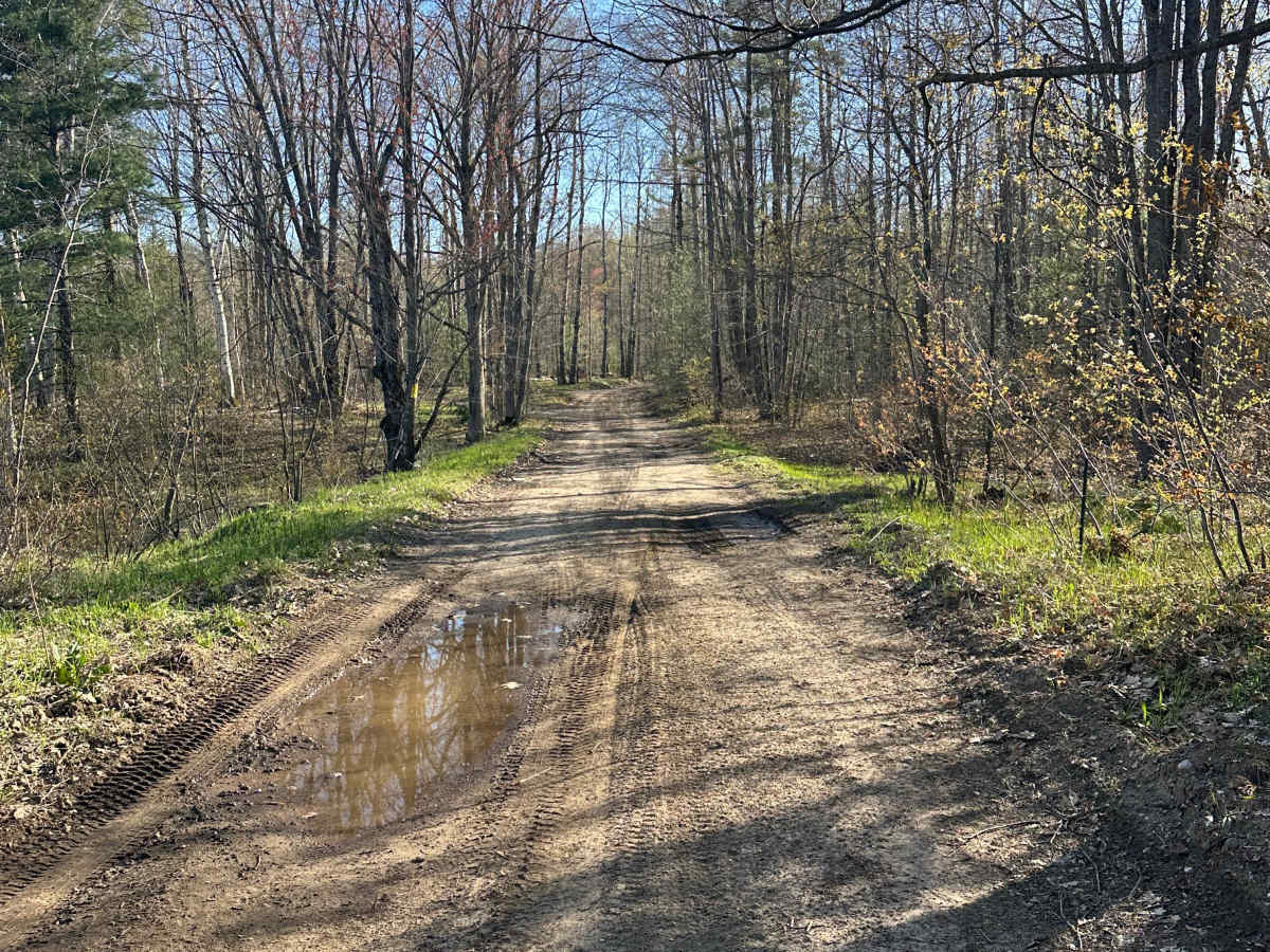 Papoose Lake Road photo 6