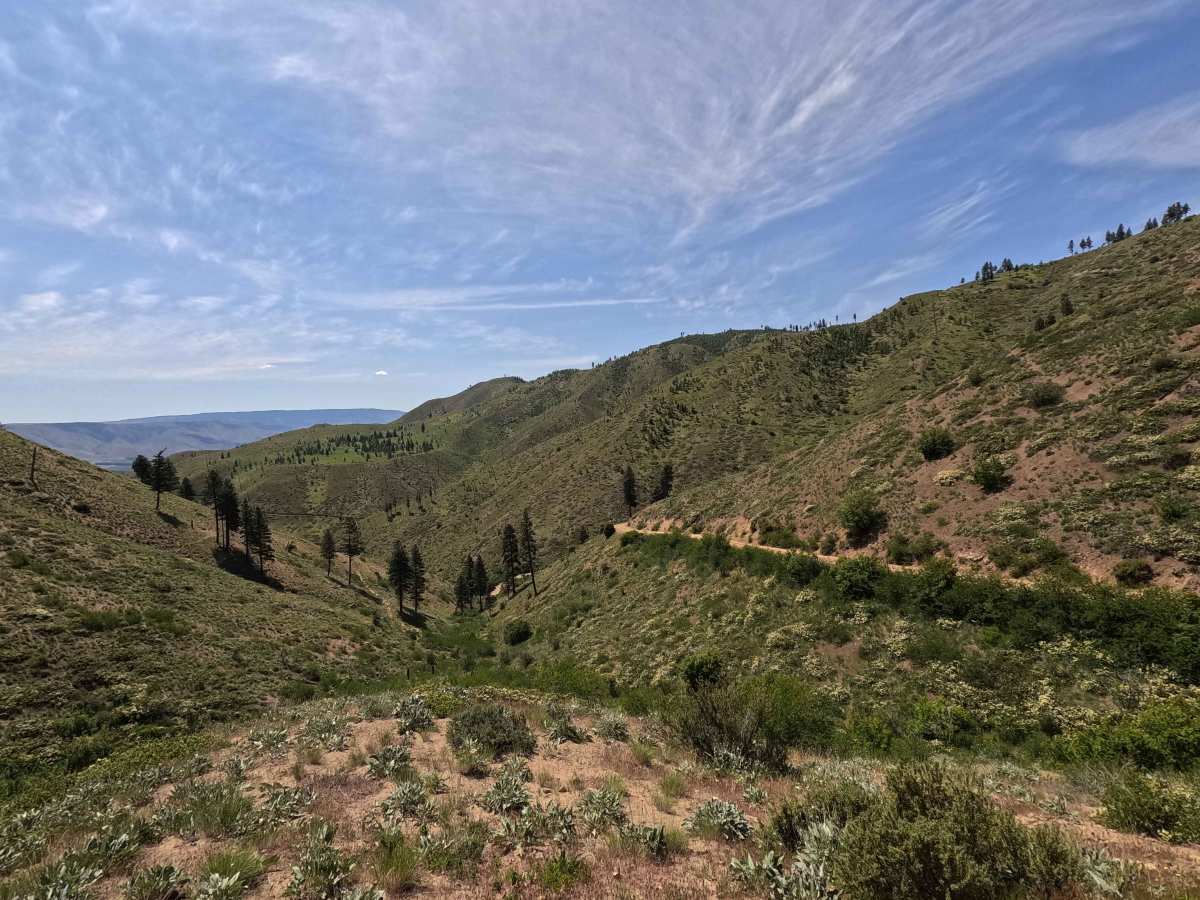 Oklahoma Gulch Road photo 5