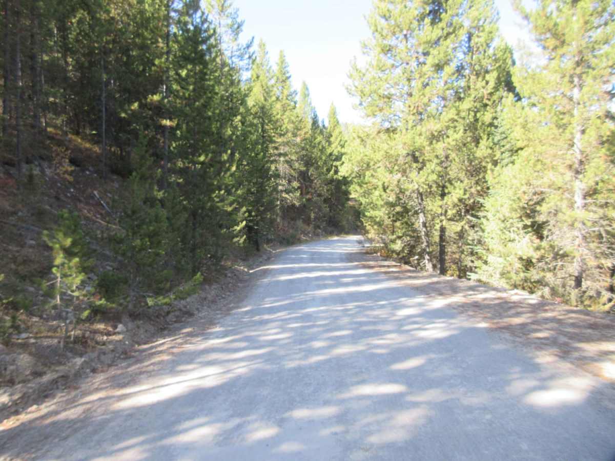 Standard Creek Rd w/Wolverine Basin trail photo