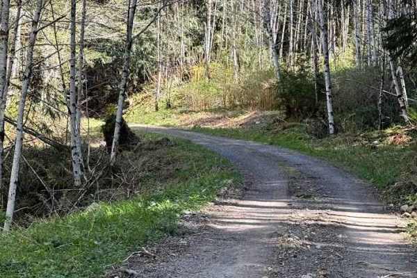 West Twin Road - FS 3000