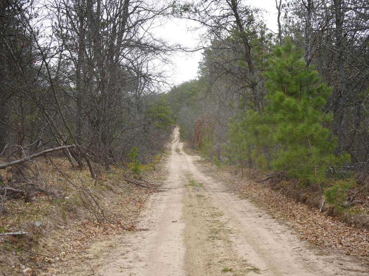 McComber Trail - FS 4482 photo 5